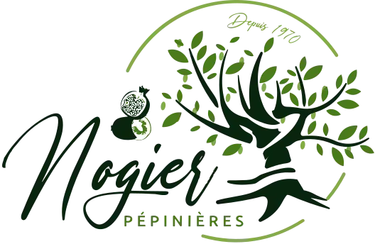 Logo Nogier